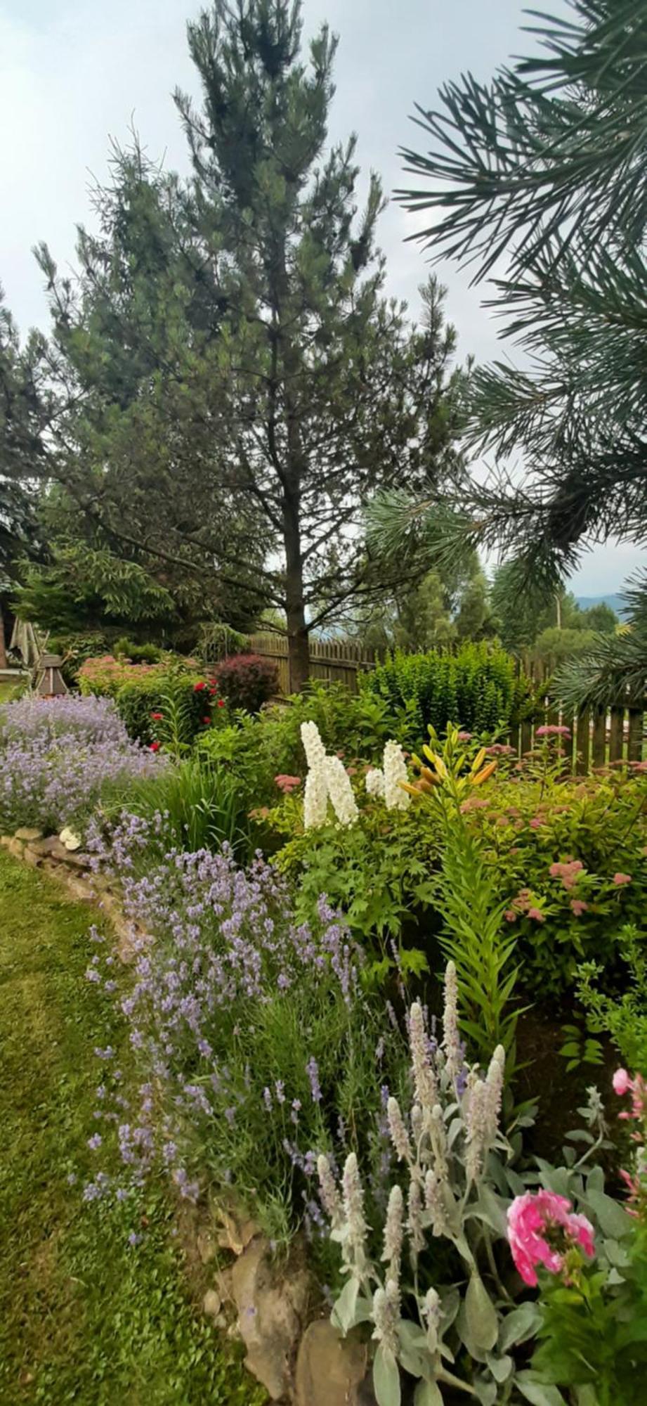 Lily Garden Bed and Breakfast Mizerna Eksteriør billede