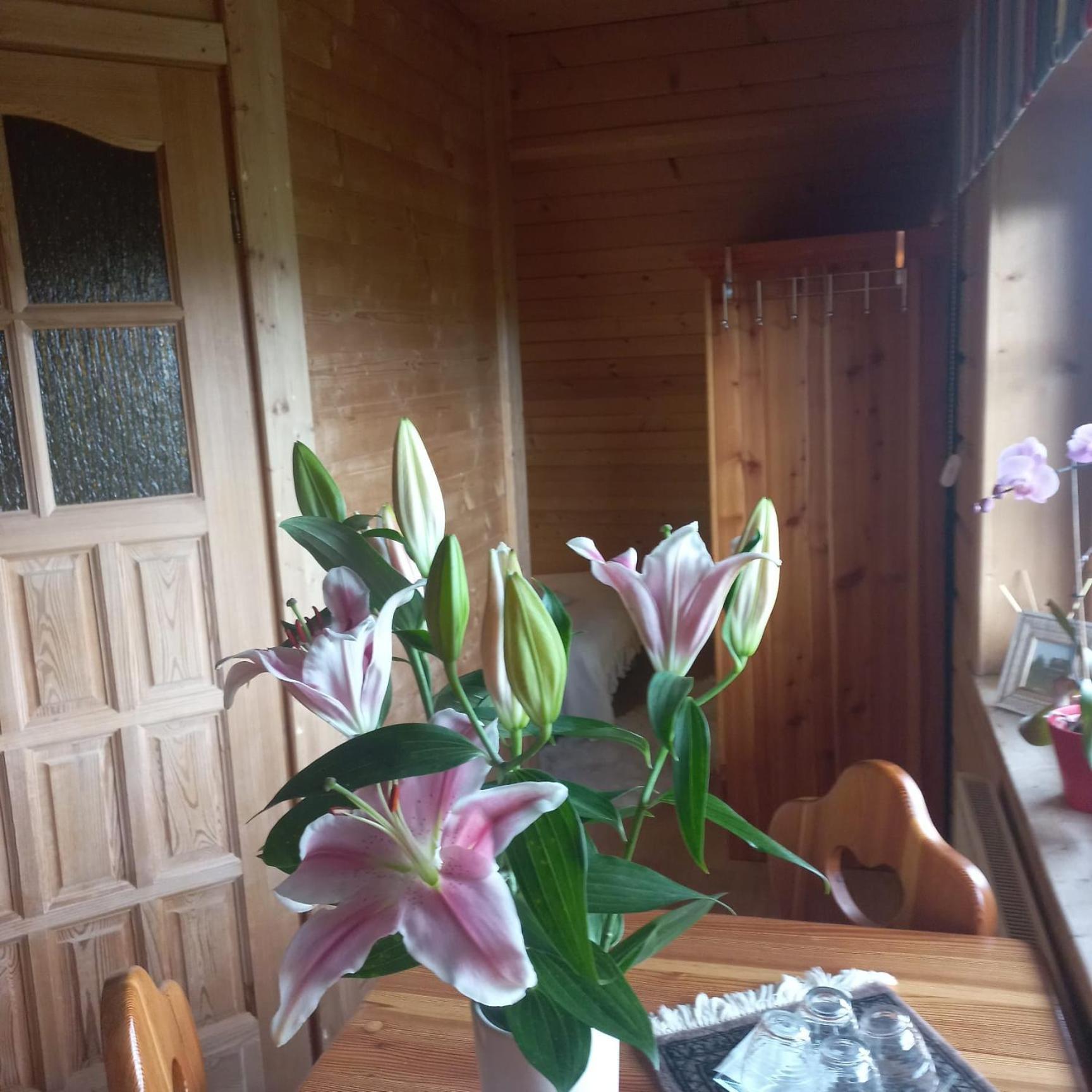 Lily Garden Bed and Breakfast Mizerna Eksteriør billede